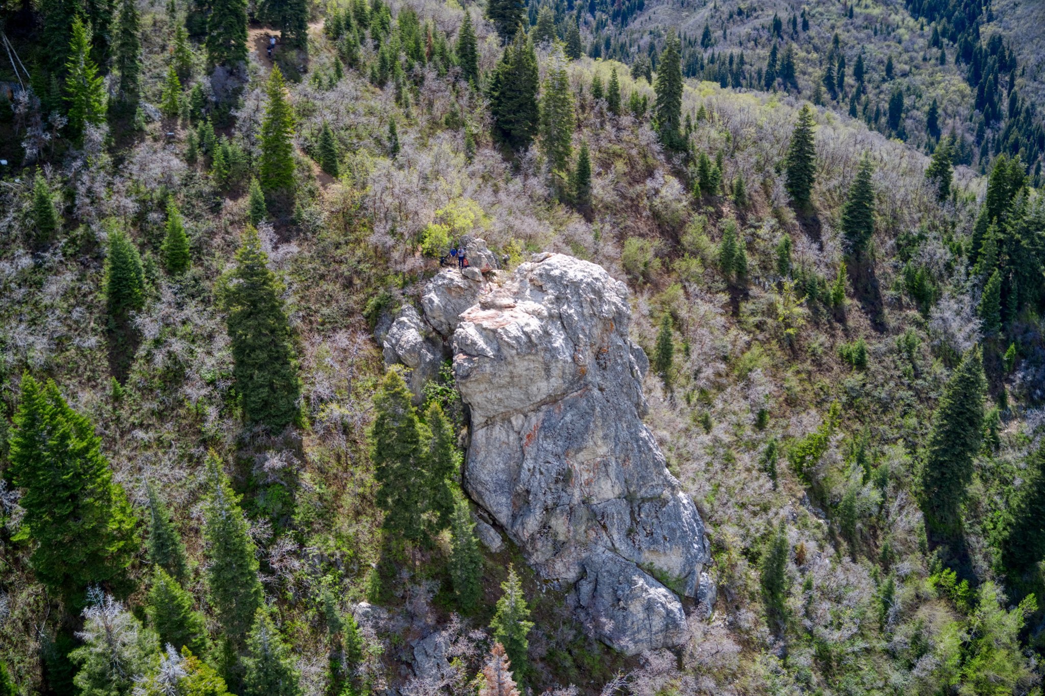 Aerial view of Elephant Rock above Mill Creek Canyon on the Mueller Park Trail