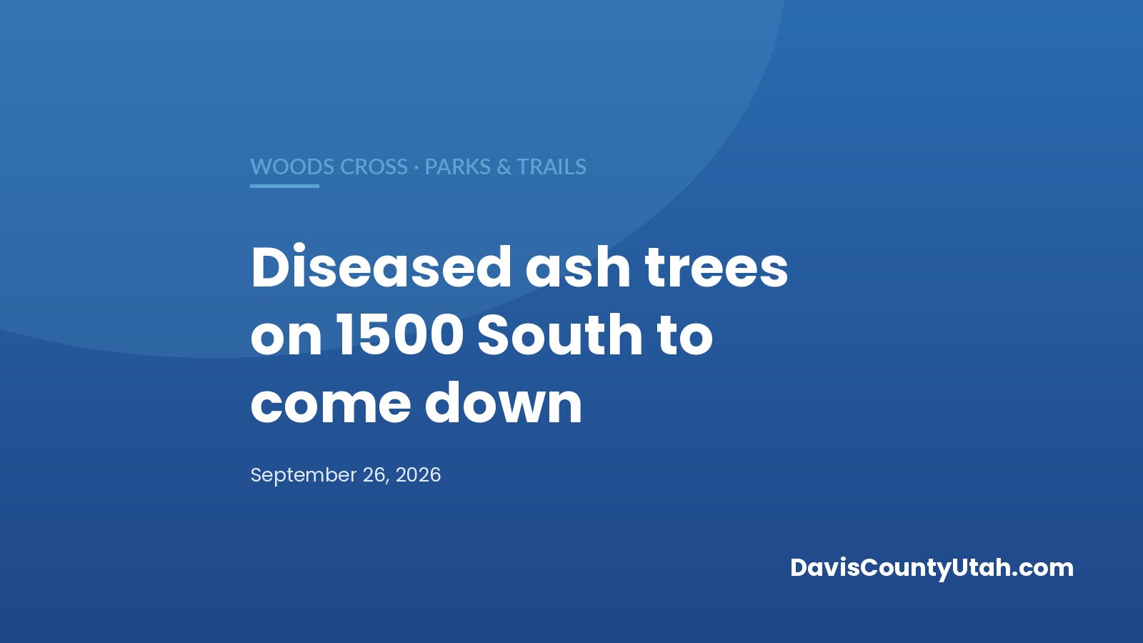 Editorial graphic: Diseased Ash Trees Along 1500 South in Woods Cross to Be Removed — DavisCountyUtah.com